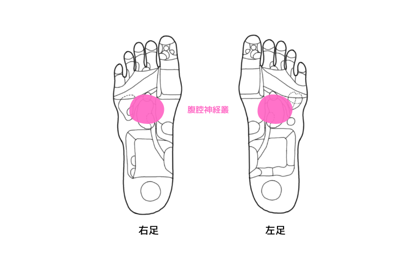 反射区　腹腔神経叢