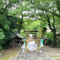 2024茅の輪くぐり　花畑大鷲神社