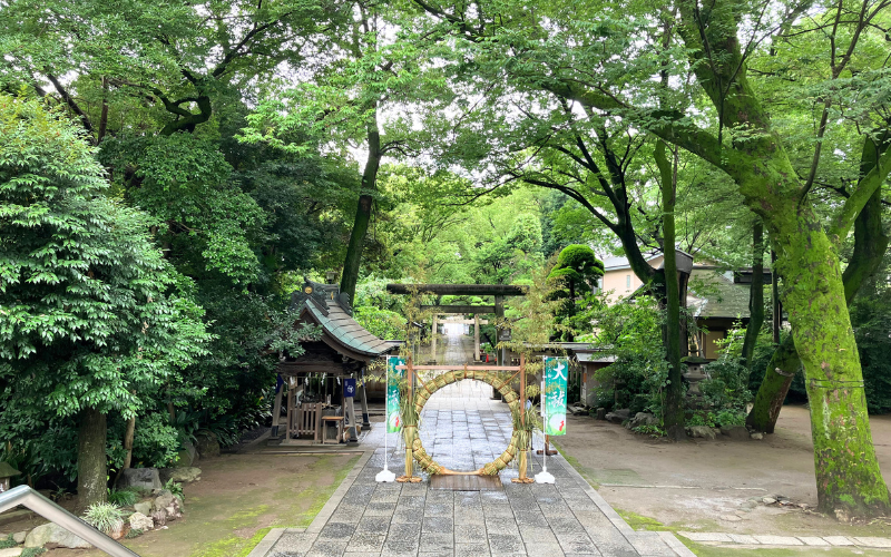 2024茅の輪くぐり　花畑大鷲神社