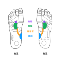 反射区　アレルギー症状