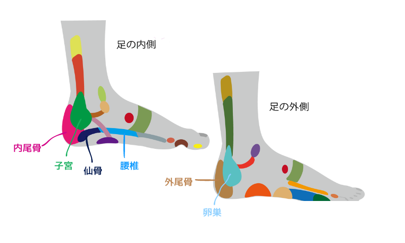 反射区　子宮