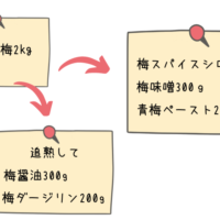 梅仕事　調味料