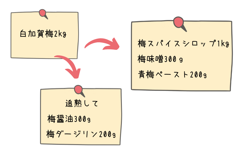 梅仕事　調味料