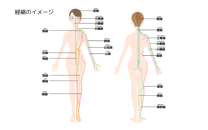 経絡　イメージ