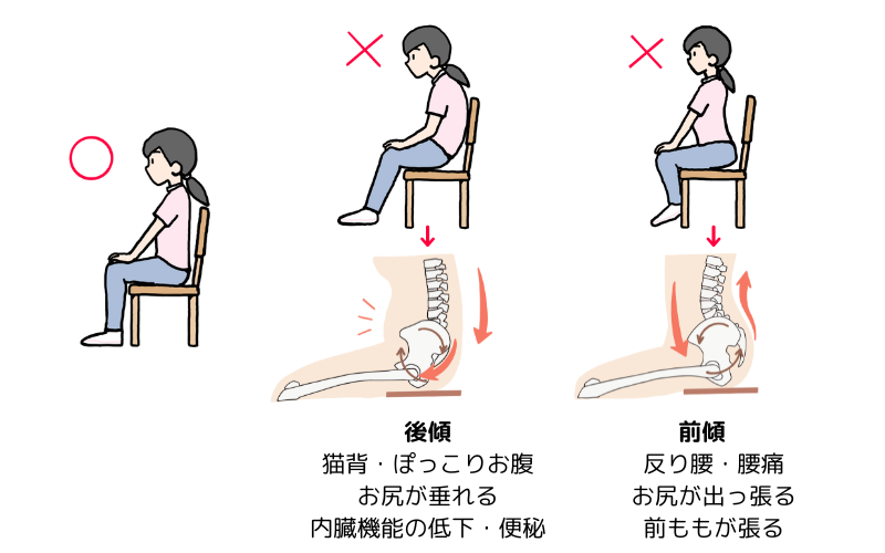 正しい座り方　骨盤