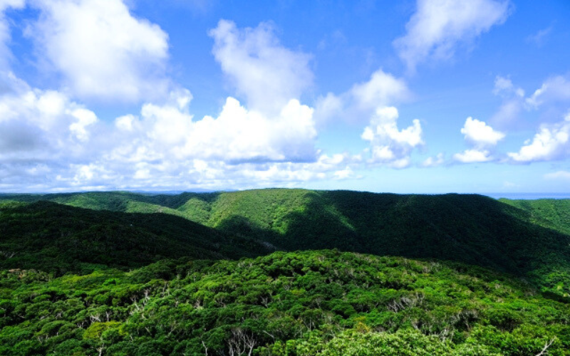 奄美大島