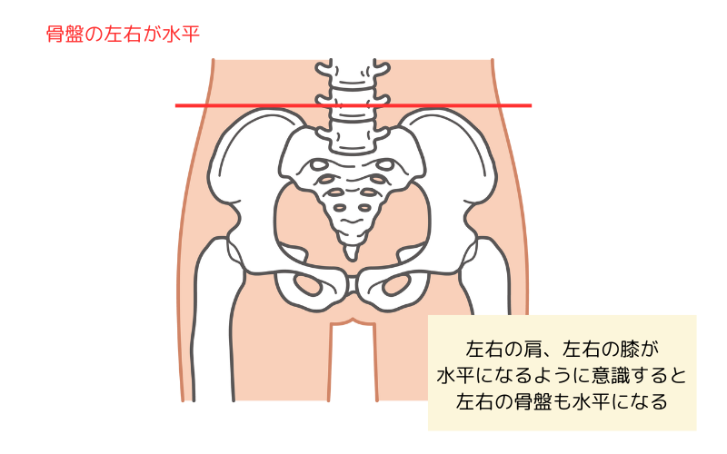 骨盤　水平