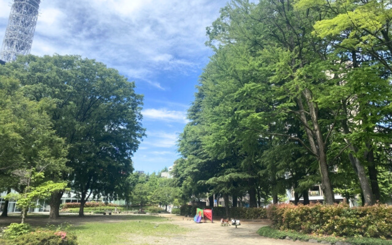 錦糸公園