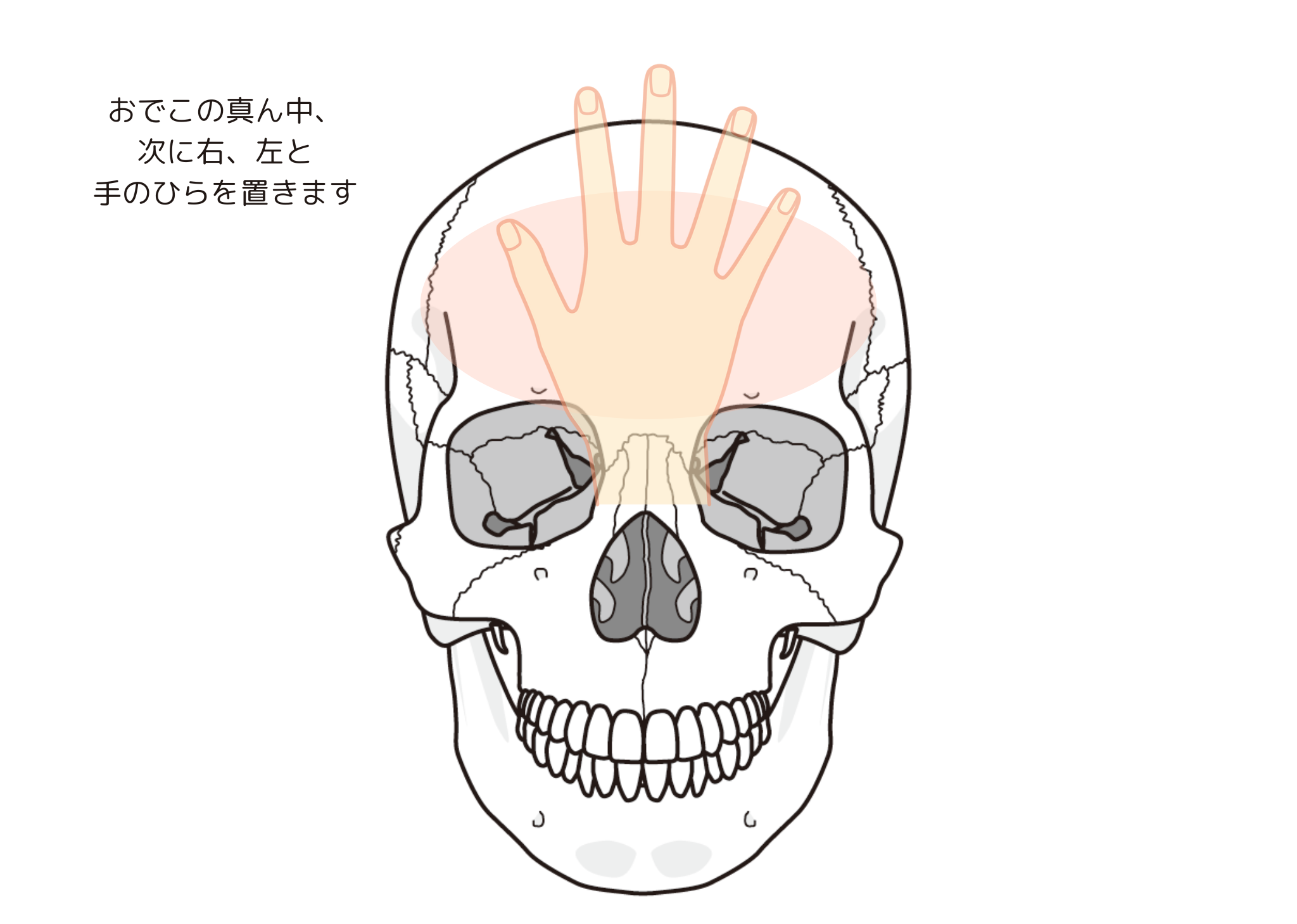 手のひらを置く位置