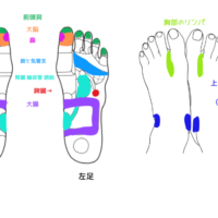 反射区　冷えの風邪に