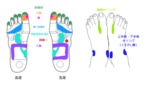 反射区　冷えの風邪に