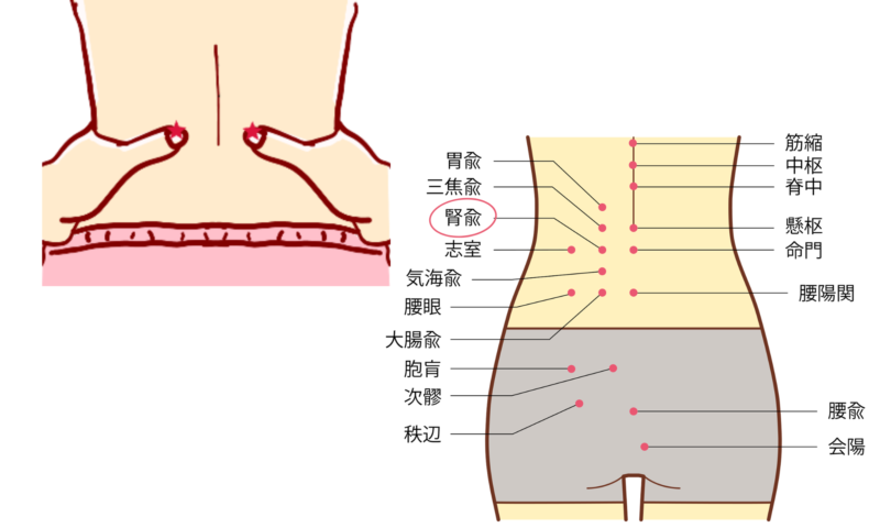 腎愈　じんゆ