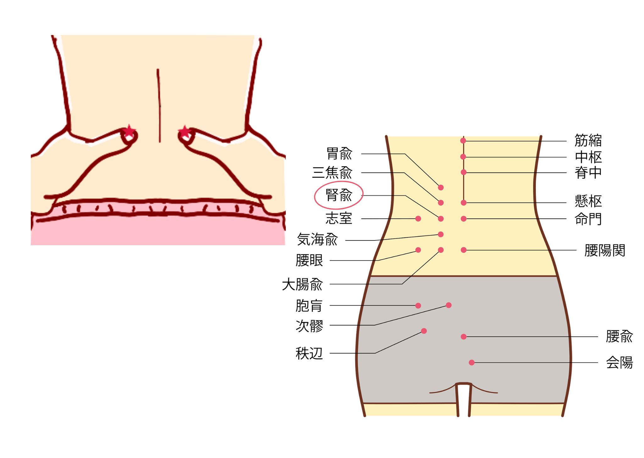 腎愈　じんゆ